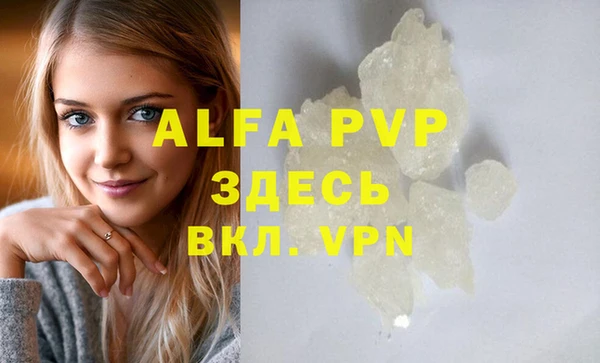 прущие грибы Инта