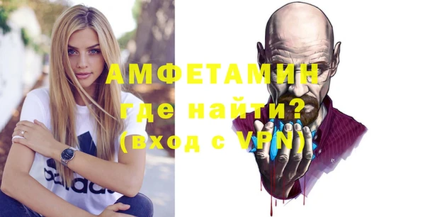 прущие грибы Инта