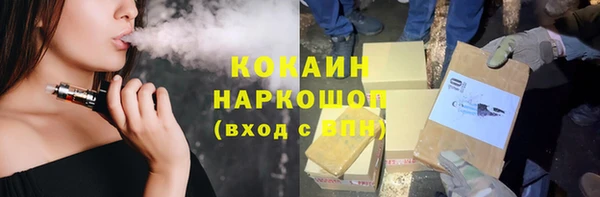 прущие грибы Инта