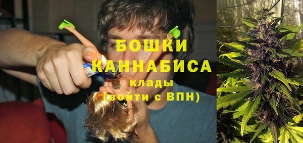 прущие грибы Инта