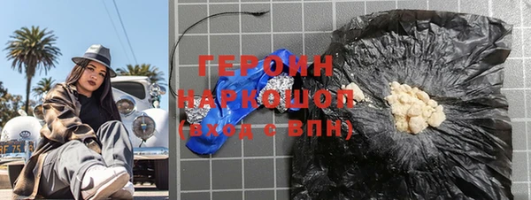 прущие грибы Инта