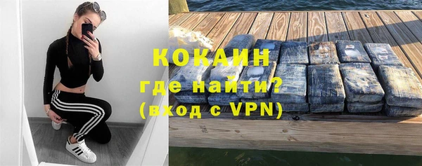 прущие грибы Инта