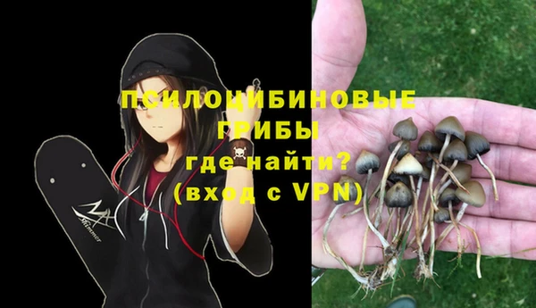 прущие грибы Инта