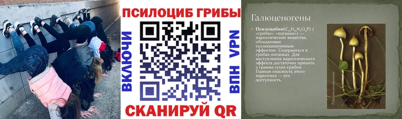 Галлюциногенные грибы мицелий  Купить закладки  Макарьев 
